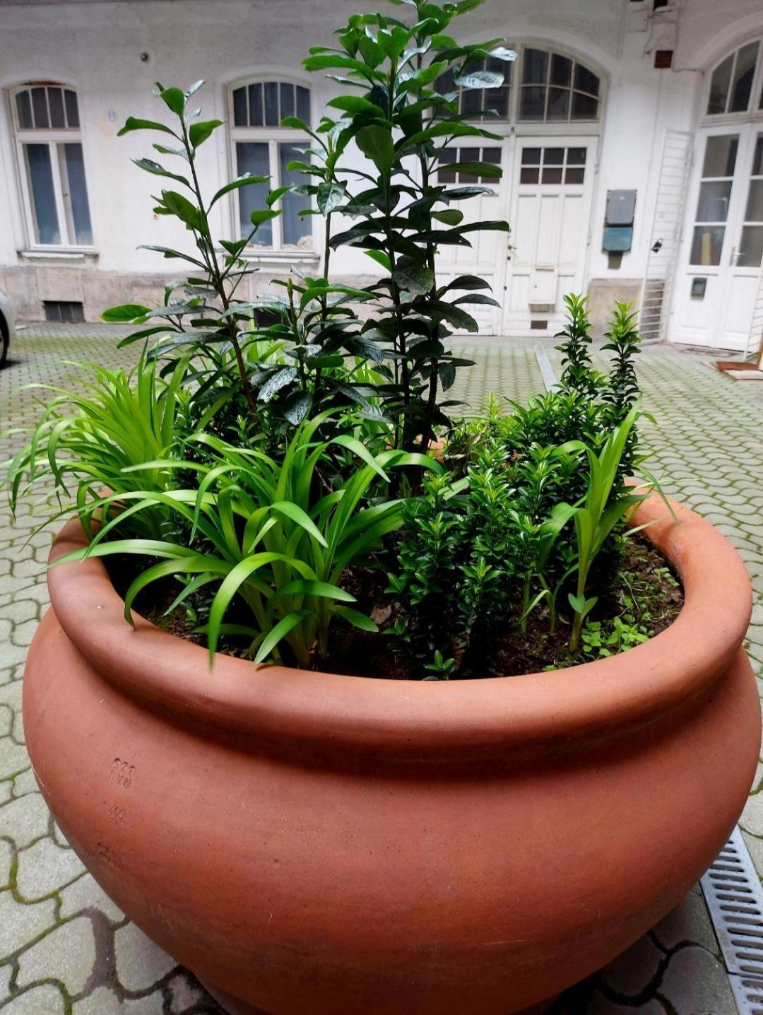 Like Studio City Centrum, Wifi, Terrace Boedapest Buitenkant foto